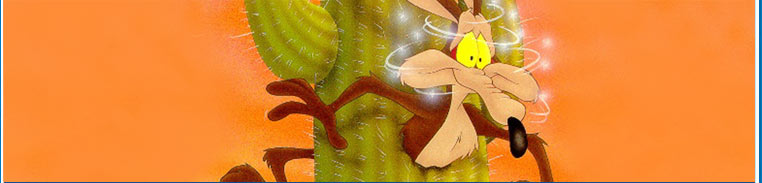 Wile E. Coyote : The Looney tunes spot