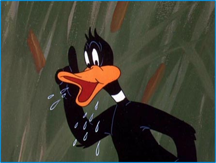Looney Tunes Image :  Daffy Duck