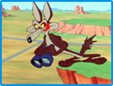 Wile Coyote Image : Looney Tunes Spot