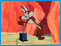 Wile Coyote Image : Looney Tunes Spot
