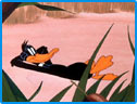 Daffy duck Image : Looney Tunes Spot