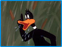 Daffy duck Image : Looney Tunes Spot