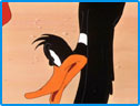 Daffy duck Image : Looney Tunes Spot