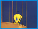 Tweety Image : Looney Tunes Spot