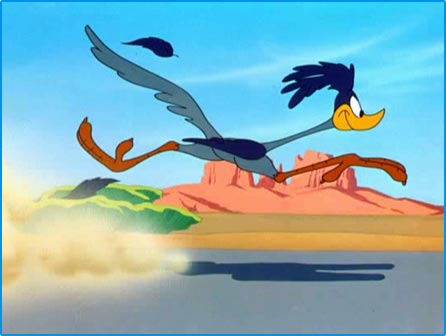 Looney Tunes Image : Road Runner