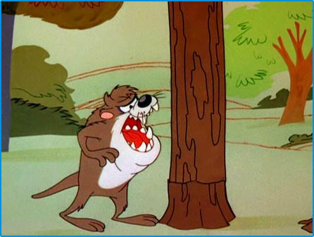 Looney Tunes Image : Taz