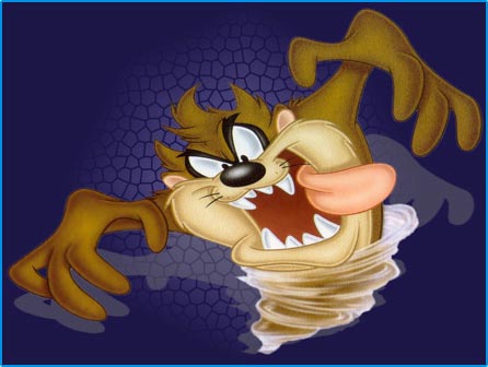 Looney Tunes Wallpaper : Tasmanian Devil